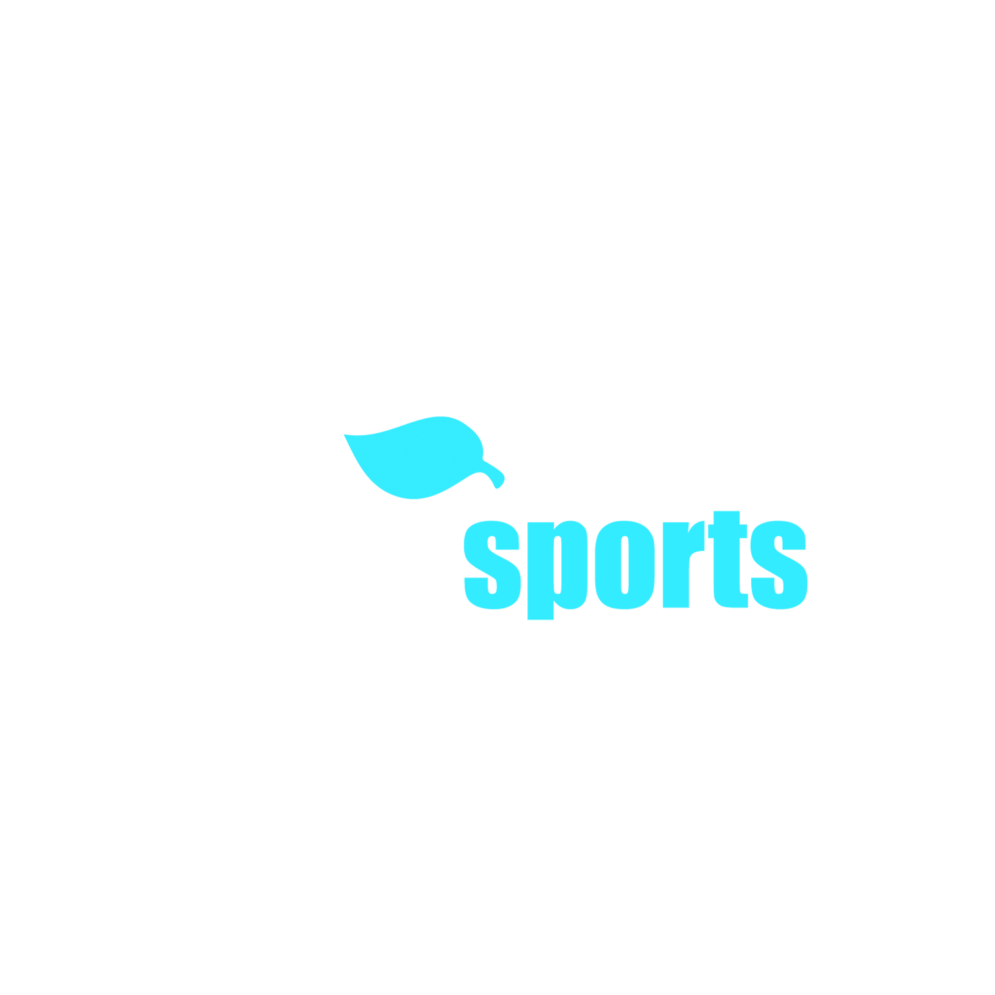 Slowsports