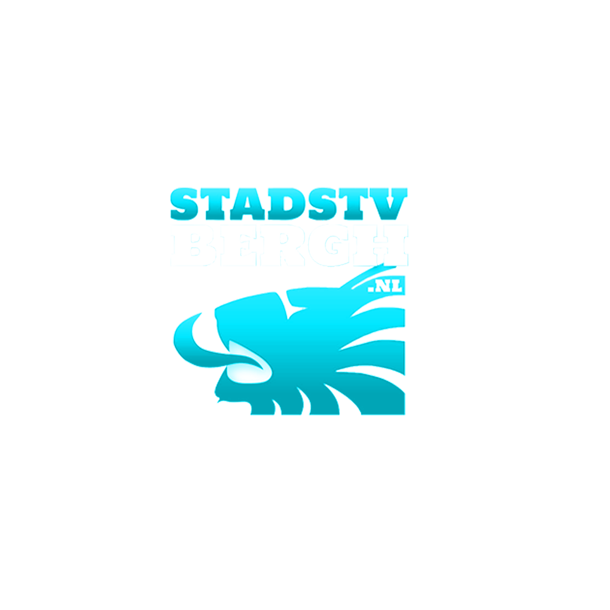StadsTV